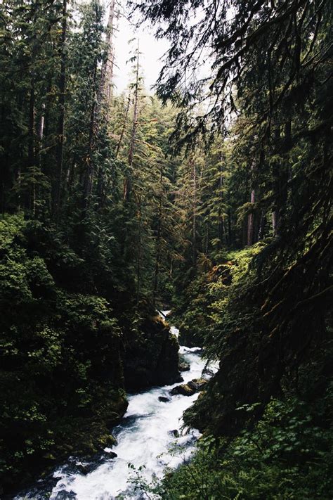 We extract the trade partners from northwest wild foods co inc.'s 23 transctions.you can screen companies by transactions, trade date, and trading area. 20+ River Pictures | Download Free Images on Unsplash ...
