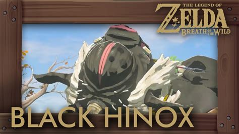 Zelda Breath Of The Wild All Black Hinox Locations Youtube