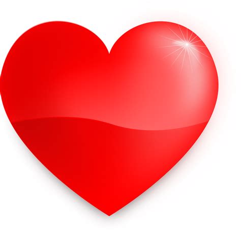 Corazón El Amor Rojo Gráficos Vectoriales Gratis En Pixabay