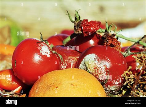 Rotten Fruit And Vegetables On A Garbage Heap Stock Photo Alamy
