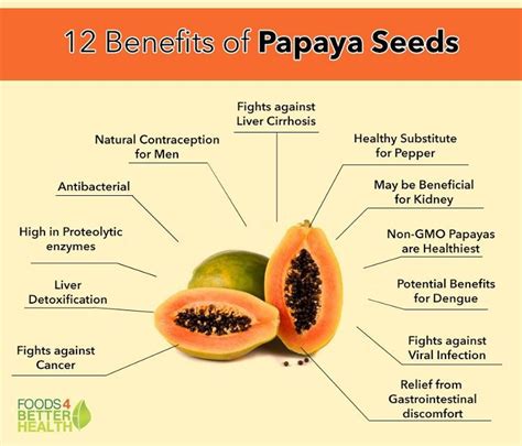 Benefits Of Papaya Seeds For Kidney Liver Stomach And More Papaya