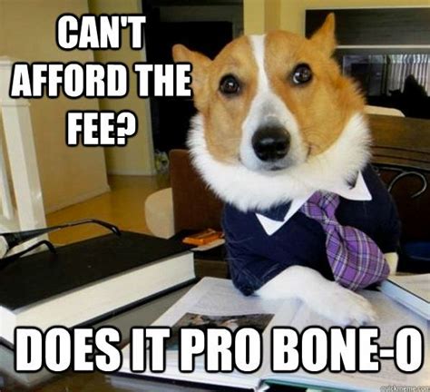 Lawyer Dog Meme Via Buzzfeed Business Cat Strategy Business Serious