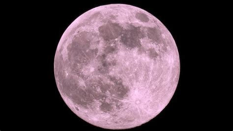 Watch The Full Pink Moon Rise Into The Sky On April 6 Live Science