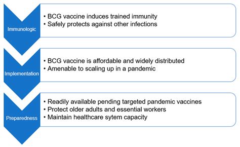 Vaccines Free Full Text Is The Bcg Vaccine An Answer To Future