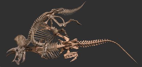 Artstation Tyrannosaurus Vs Triceratops By Vitamin Imaigination Feat Smithsonian National