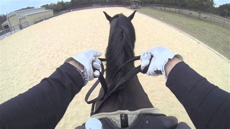 Virtual View How To Hold And Use Double Bridle Reins Youtube