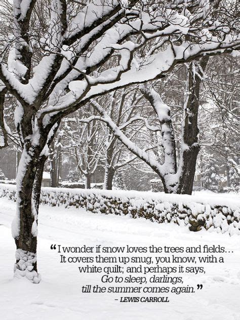 7 Best January Poem Ideas Winter Quotes January Poem Snow Quotes
