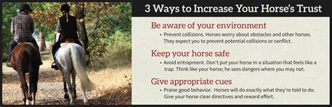 How To Earn Your Horses Trust And 3 Ways You Could Lose It