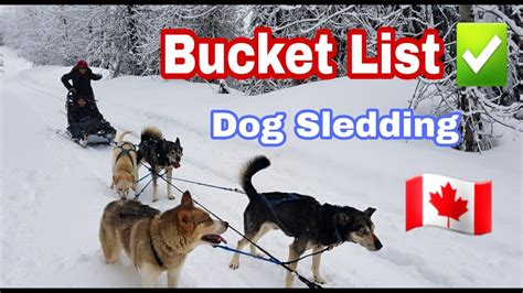 Travel Vlog 1 Bucket List Dog Sledding Whistler Canada Best