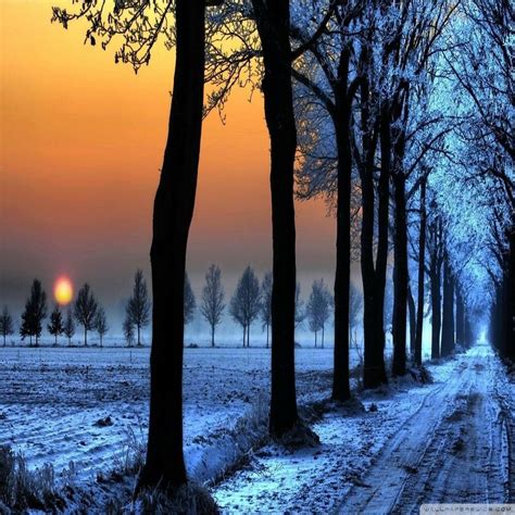 Golden Winter Road ️ Winter Landscape Winter Sunset Winter Nature