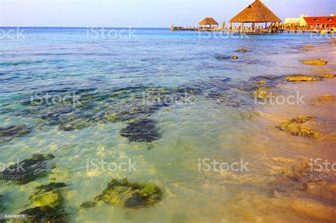 Gazebo Palapa Idyllic Translucent Beach Sunset Cancun Mexican Caribbean