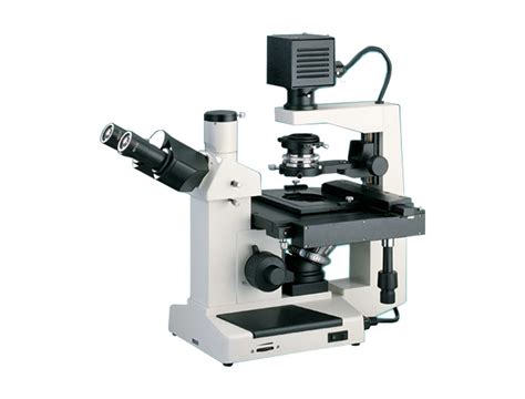 Inverted Microscope 3