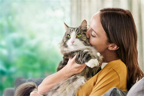 Survey Shows Cat Owners With Sensitivities Go To Lengths To Manage