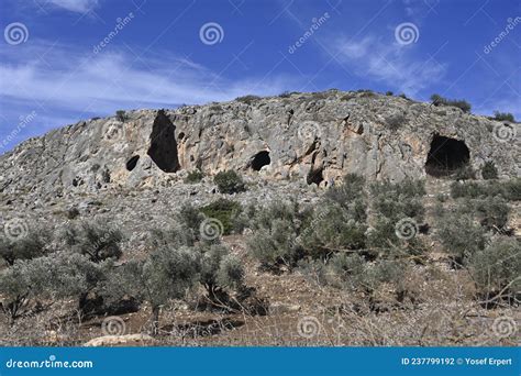 A Nature Reserve Pigeons Caves Stock Photo Image Of Edge Tourists