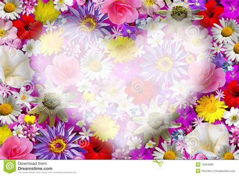 Pink hearts with flowers and sunshine. Flower Background With Heart. Stock Image - Image: 12504083