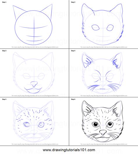 How To Draw A Cat Face Printable Step By Step Drawing