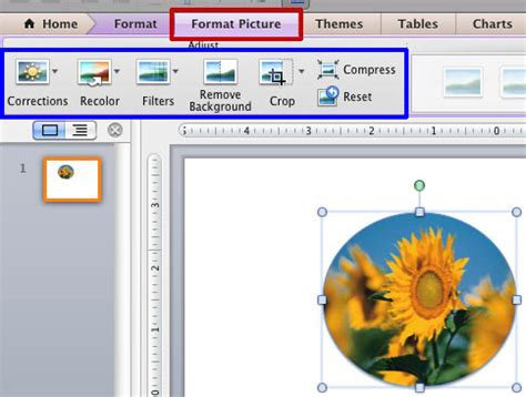 Some controls should only appear when a particular object is selected because they only affect the configuration of that object. Adjust Picture Options in PowerPoint 2011 for Mac