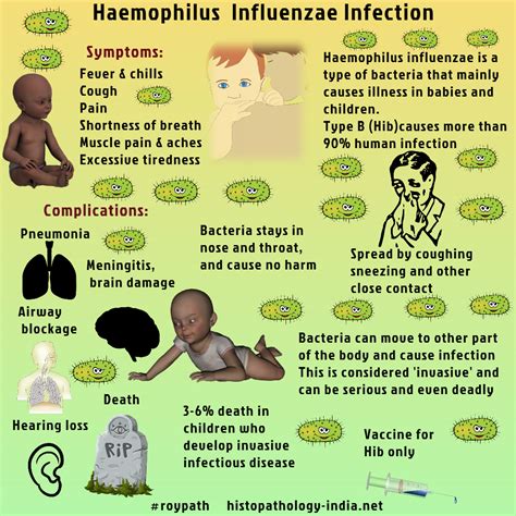 They cause the annual endemic with many people suffering from the symptoms of high. Pin on Medicine