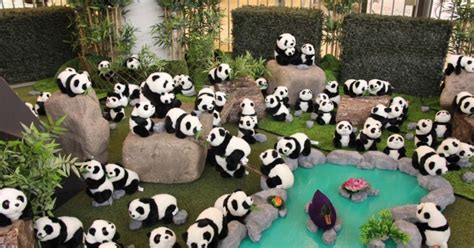 Panda Bears Take Over Aberdeen Centre In Richmond