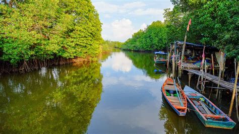 Four Types Of Coastal Habitats And Why They Matter The Pew Charitable