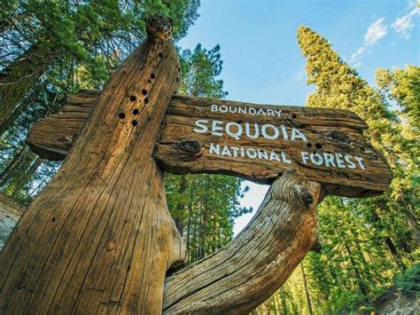 Sequoia National Park California 2023