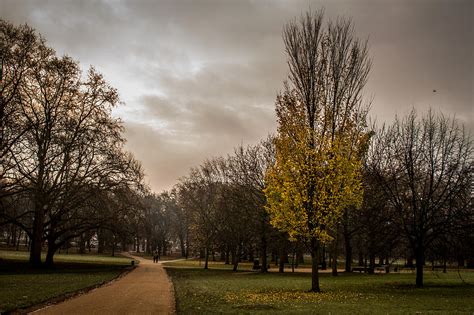 Hyde Park Photograph By Mina Fouad