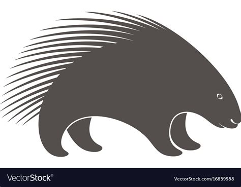 Porcupine Royalty Free Vector Image Vectorstock