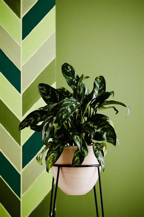 Colour Trend: Dulux's spring 2015 forecast. Styling by ...