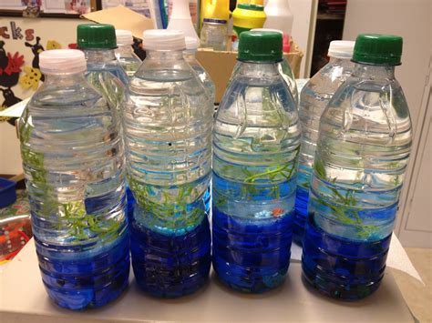 Pre K Possibilities Exploring The Ocean With Wave Bottles