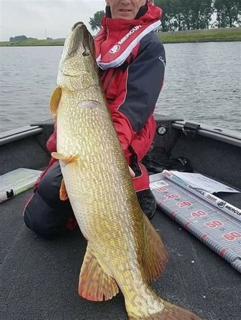 7 Biggest Northern Pike In The World Strike And Catch
