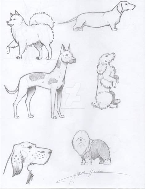 There are lots of different dogs to draw from more realistic to cartoon dogs. realistic drawing of dogs by KitsuneNinja277 on DeviantArt