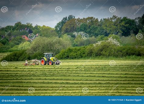 Farmer Turns The Hay In A Field With His Tractor Stock Photo Image Of