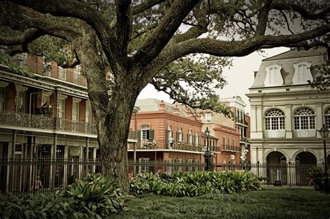 Top Attractions In New Orleans Beyond Bourbon Street Earths