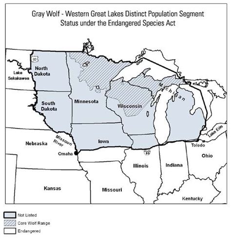 Gray Wolf Esa Status In Illinois And Iowa Kansas