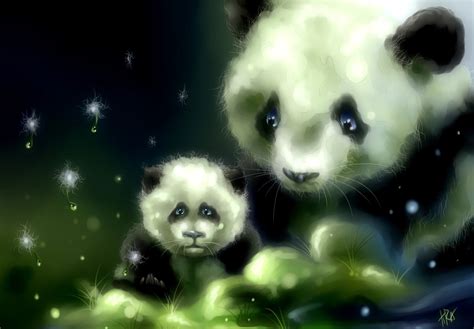 Animal Panda Hd Wallpaper By Ilona Tsymbal