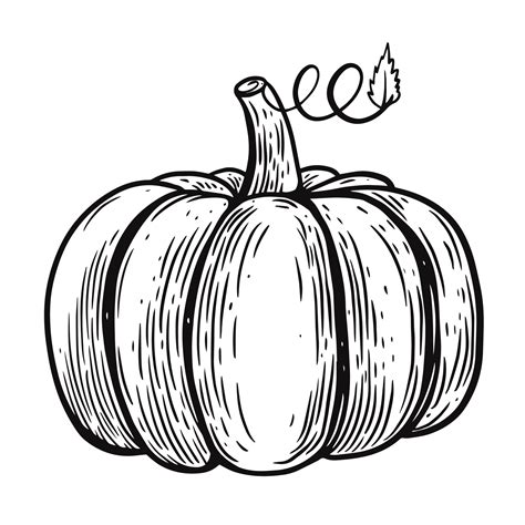 Black Color Pumpkin Outline Art Illustration 22218827 Png