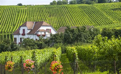 Buying A Rural French Property And The Safer Rule What You Need To