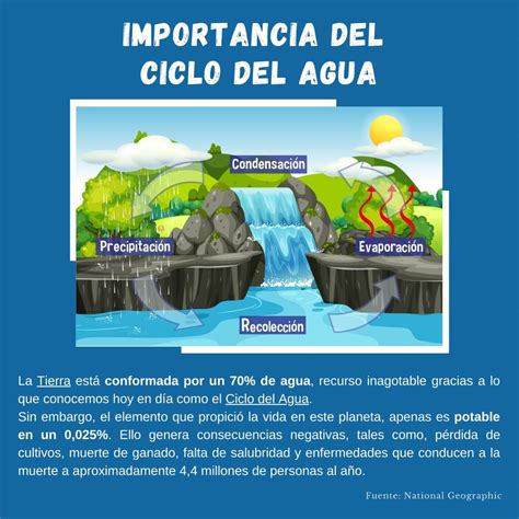 Importancia Del Ciclo Del Agua Conexion Ambiental My Xxx Hot Girl