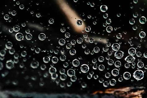 Drops Of Water · Free Stock Photo