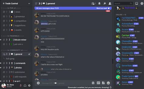 Make You A Discord Server With Professional Bots By Fmion1000 Fiverr