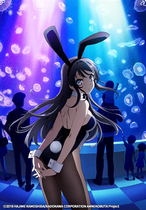 Nalis Shelter Rascal Does Not Dream Of Bunny Girl Senpai Manga Addicted