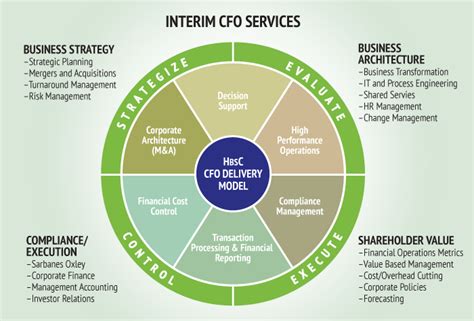 interim cxo services hbsc strategic services
