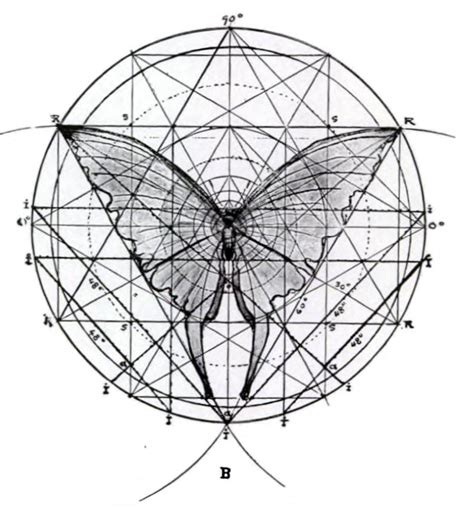 Geometry Matters Sacred Geometry Sacred Architecture Geometry