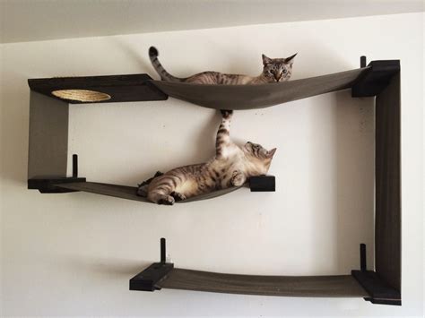 16l x 7w x 20h. Handmade Unique: Unique for You and Your Cat : Modern, Sculptural Cat Shelves by ...