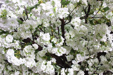 White Cherry Blossom Tree Eclat Decor