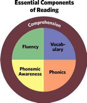 Five (5) Components of Reading :: Read Naturally, Inc.