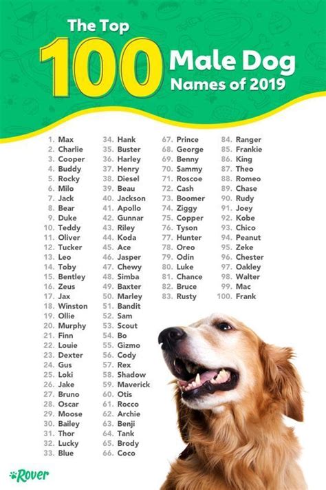 The Top 100 Male Dog Names Of 2019 Dog Names Male Dog Names Puppy Names