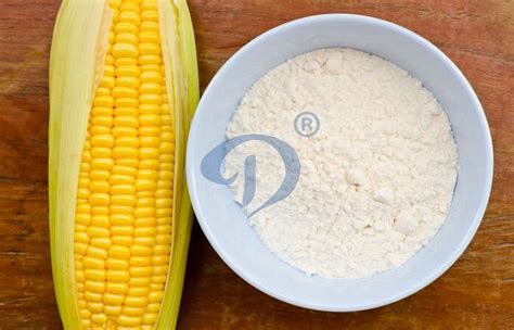 What Is Corn Starch Faq