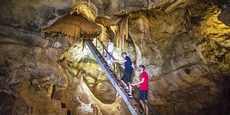 Guided Tour In Blue Mountain And Jenolan Caves Sydney