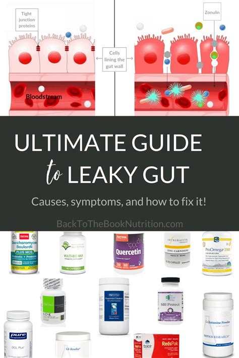 Ultimate Guide To Leaky Gut Back To The Book Nutrition